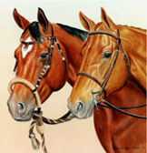 Equine Art - English and Western